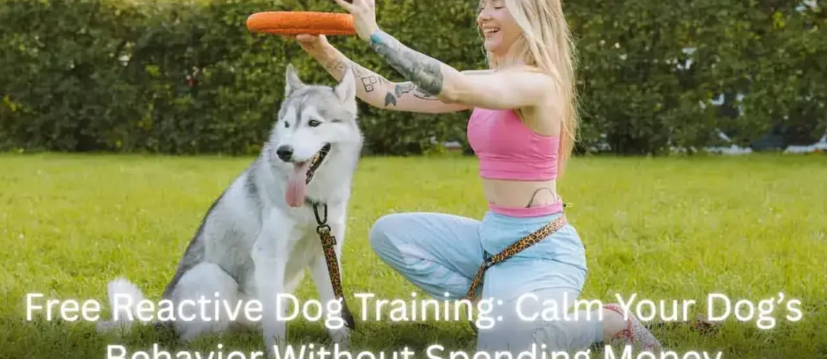 Free Reactive Dog Training featured image