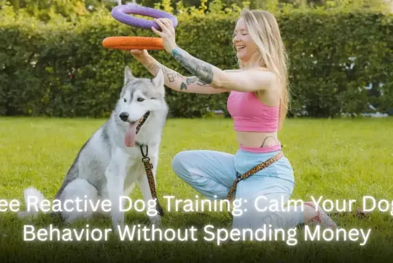 Free Reactive Dog Training featured image