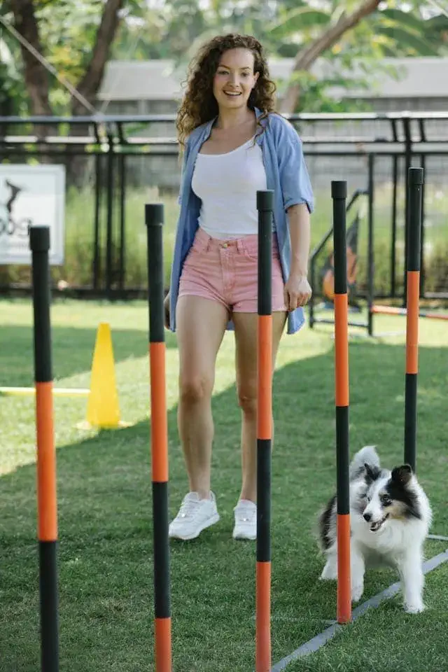 Free Resources for Reactive Dog Training