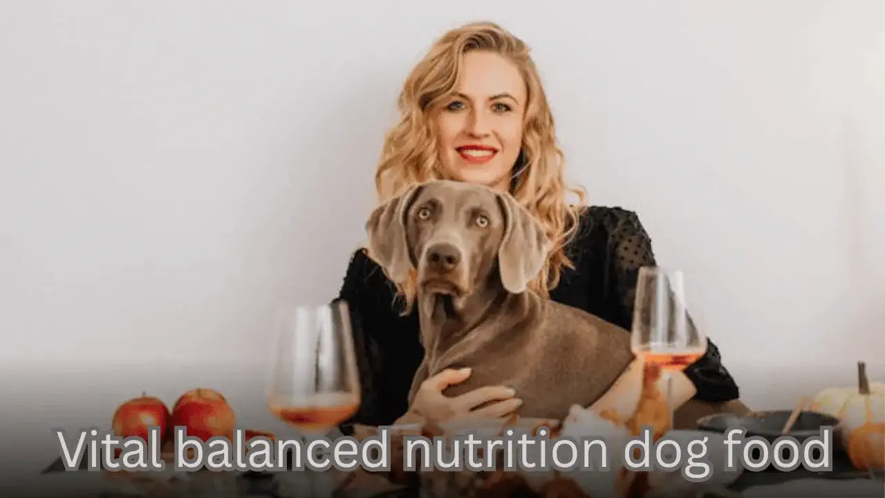 Vital Balanced Nutrition Dog Food: The Key to Your Dog’s Health and Happiness