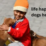 life happens dogs help